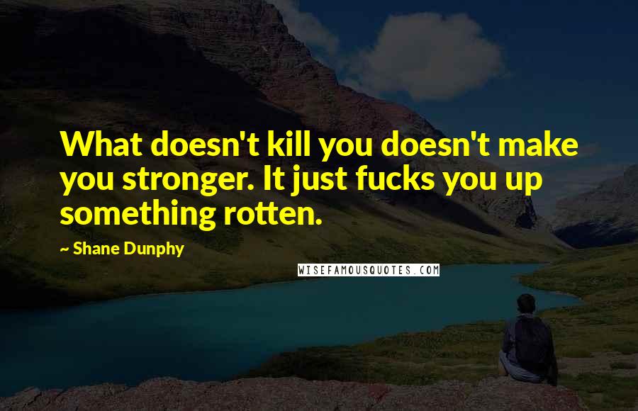 Shane Dunphy Quotes: What doesn't kill you doesn't make you stronger. It just fucks you up something rotten.