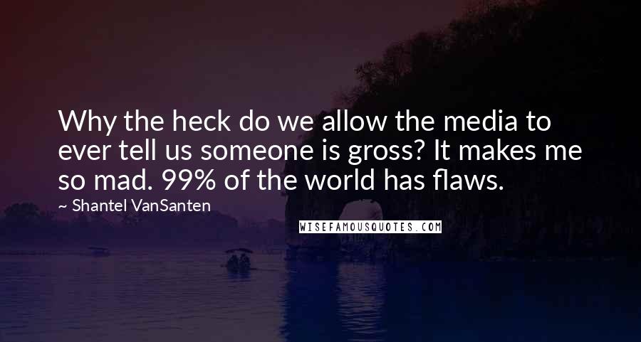 Shantel VanSanten Quotes: Why the heck do we allow the media to ever tell us someone is gross? It makes me so mad. 99% of the world has flaws.