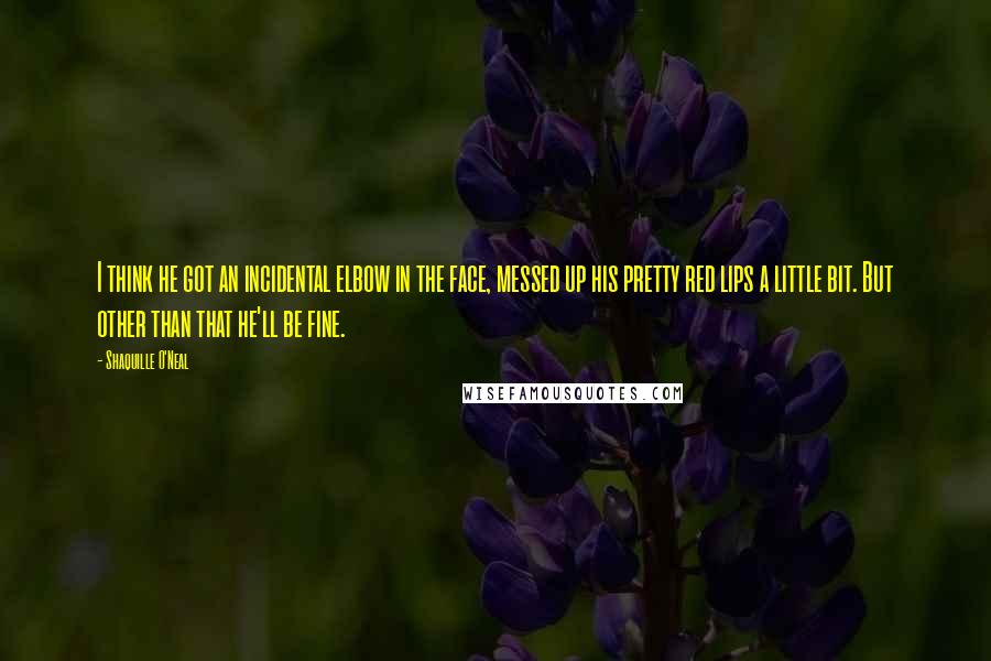 Shaquille O'Neal Quotes: I think he got an incidental elbow in the face, messed up his pretty red lips a little bit. But other than that he'll be fine.