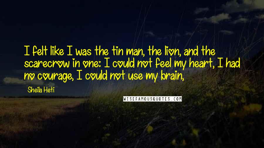 Sheila Heti Quotes: I felt like I was the tin man, the lion, and the scarecrow in one: I could not feel my heart, I had no courage, I could not use my brain,