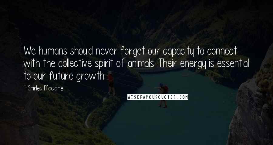 Shirley Maclaine Quotes: We humans should never forget our capacity to connect with the collective spirit of animals. Their energy is essential to our future growth.