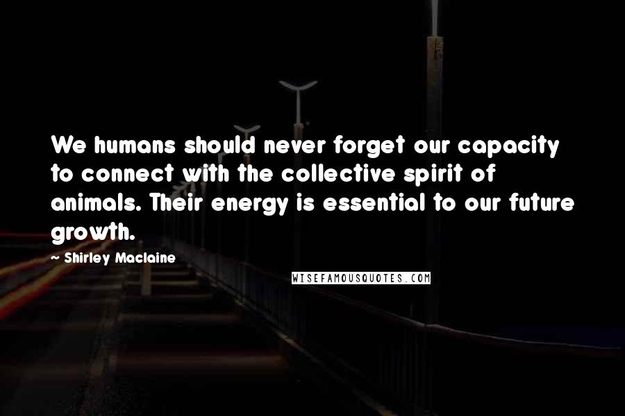 Shirley Maclaine Quotes: We humans should never forget our capacity to connect with the collective spirit of animals. Their energy is essential to our future growth.