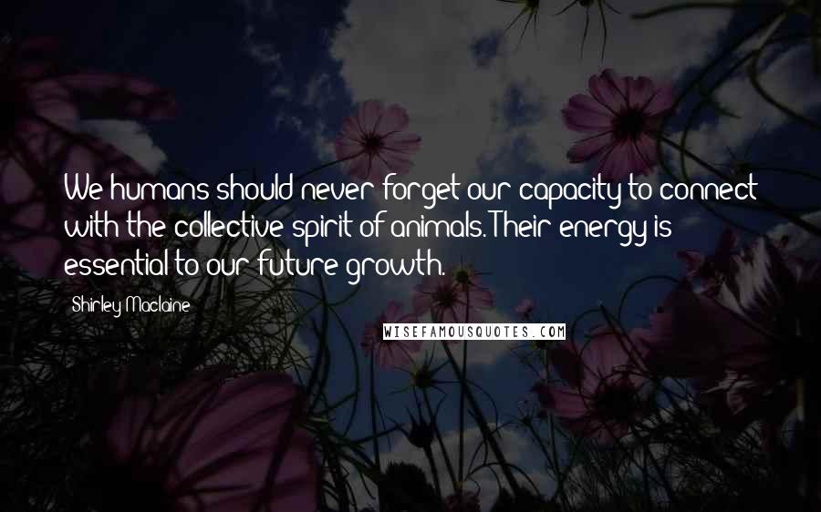 Shirley Maclaine Quotes: We humans should never forget our capacity to connect with the collective spirit of animals. Their energy is essential to our future growth.