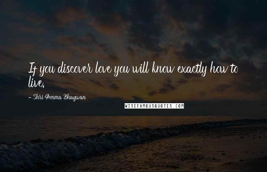 Shri Amma Bhagwan Quotes: If you discover love you will know exactly how to live.