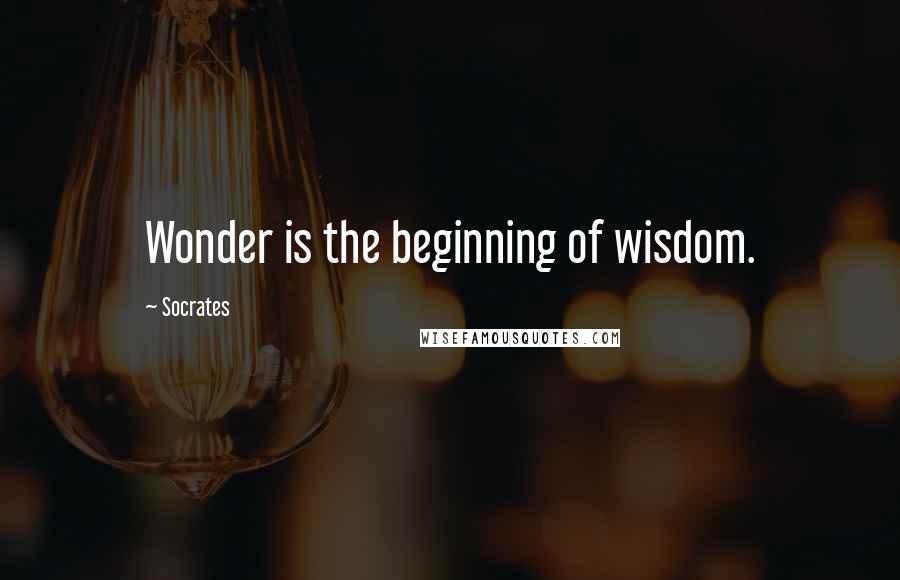 Socrates Quotes: Wonder is the beginning of wisdom.