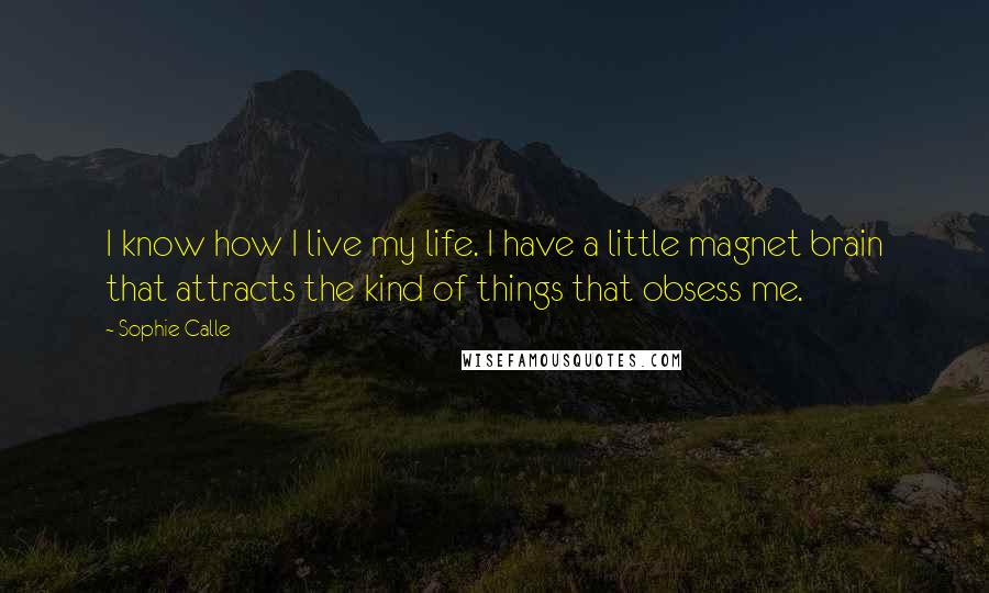 Sophie Calle Quotes: I know how I live my life. I have a little magnet brain that attracts the kind of things that obsess me.