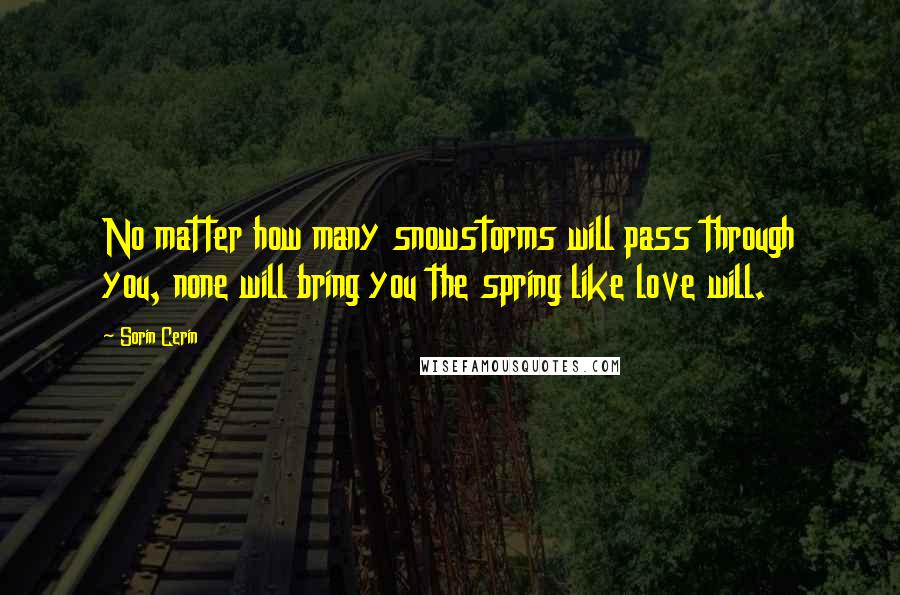 Sorin Cerin Quotes: No matter how many snowstorms will pass through you, none will bring you the spring like love will.