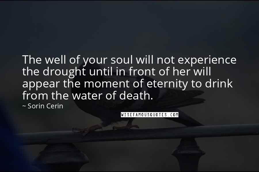 Sorin Cerin Quotes: The well of your soul will not experience the drought until in front of her will appear the moment of eternity to drink from the water of death.