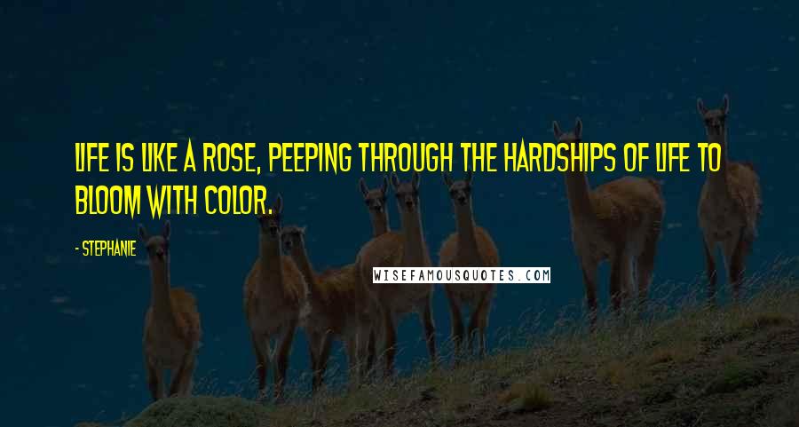 Stephanie Quotes: Life is like a rose, peeping through the hardships of life to bloom with color.