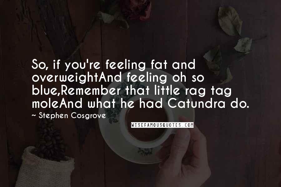 Stephen Cosgrove Quotes: So, if you're feeling fat and overweightAnd feeling oh so blue,Remember that little rag tag moleAnd what he had Catundra do.