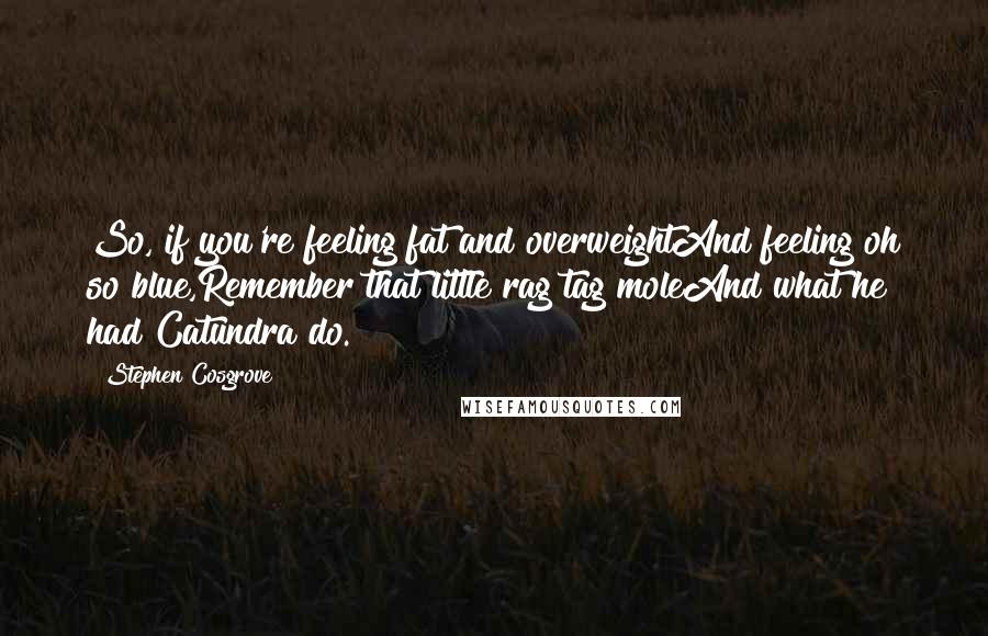 Stephen Cosgrove Quotes: So, if you're feeling fat and overweightAnd feeling oh so blue,Remember that little rag tag moleAnd what he had Catundra do.