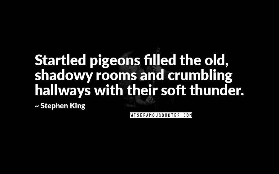 Stephen King Quotes: Startled pigeons filled the old, shadowy rooms and crumbling hallways with their soft thunder.