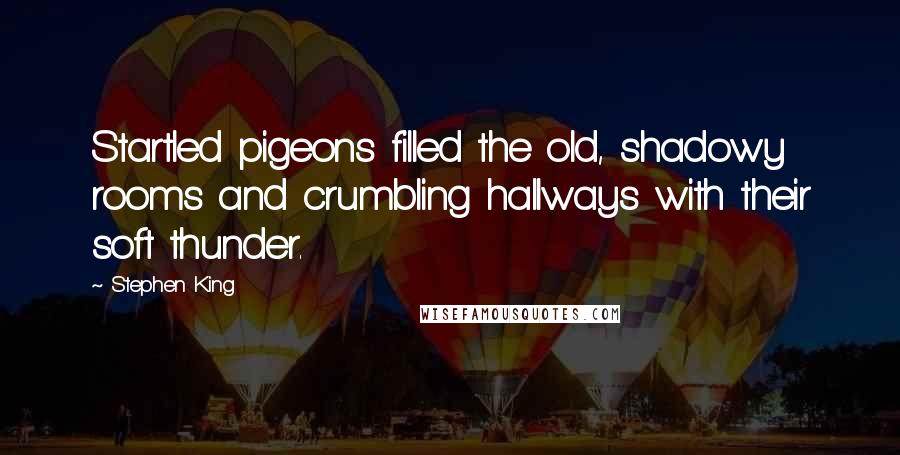 Stephen King Quotes: Startled pigeons filled the old, shadowy rooms and crumbling hallways with their soft thunder.