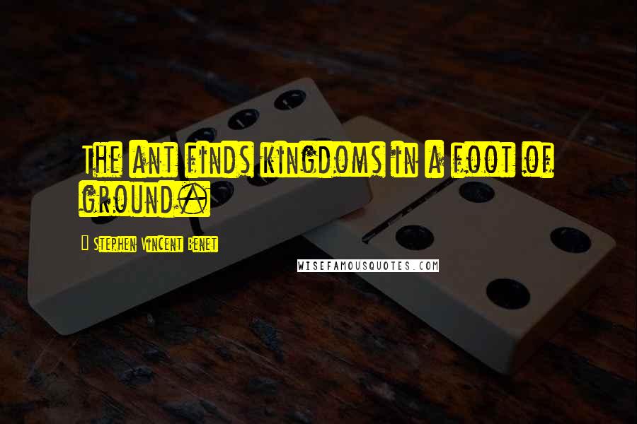 Stephen Vincent Benet Quotes: The ant finds kingdoms in a foot of ground.