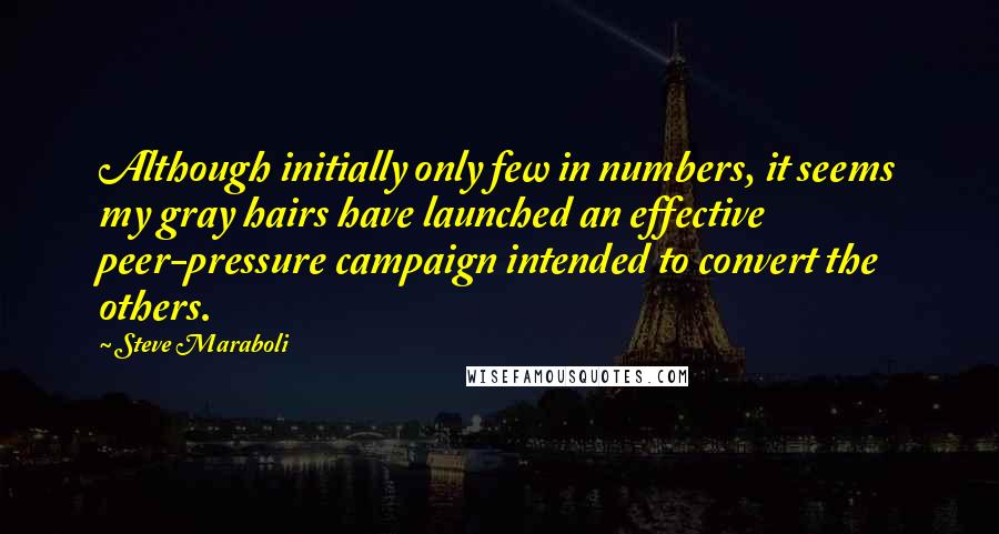 Steve Maraboli Quotes: Although initially only few in numbers, it seems my gray hairs have launched an effective peer-pressure campaign intended to convert the others.