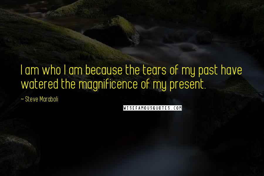 Steve Maraboli Quotes: I am who I am because the tears of my past have watered the magnificence of my present.