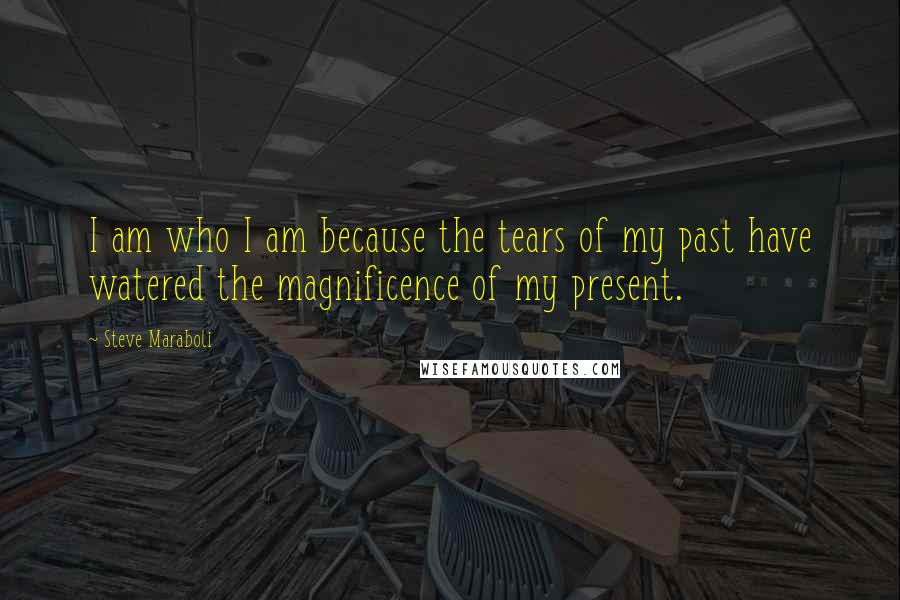 Steve Maraboli Quotes: I am who I am because the tears of my past have watered the magnificence of my present.