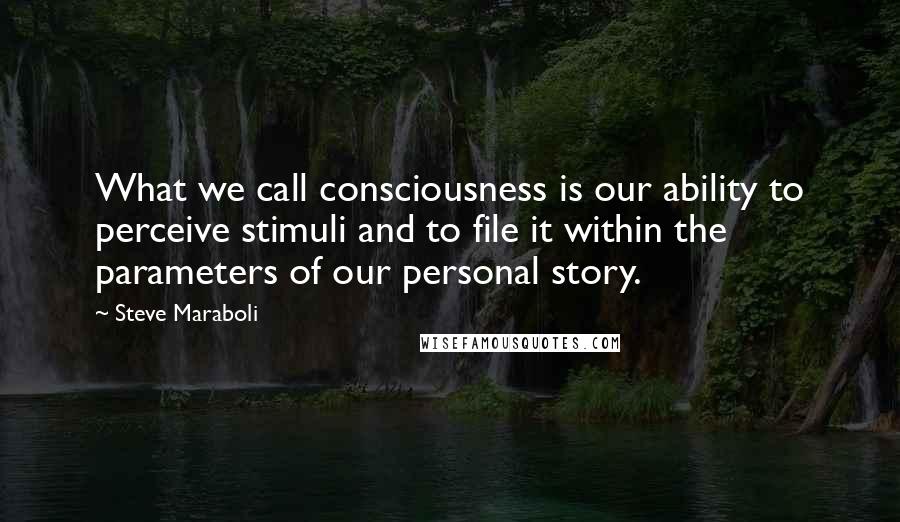 Steve Maraboli Quotes: What we call consciousness is our ability to perceive stimuli and to file it within the parameters of our personal story.