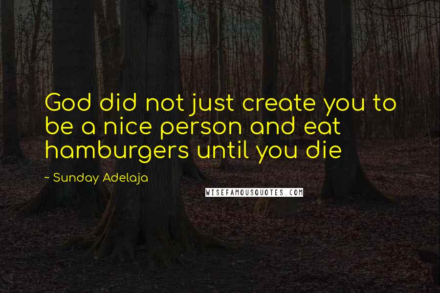 Sunday Adelaja Quotes: God did not just create you to be a nice person and eat hamburgers until you die