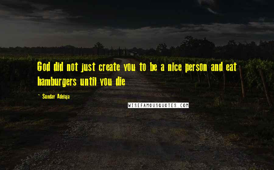 Sunday Adelaja Quotes: God did not just create you to be a nice person and eat hamburgers until you die