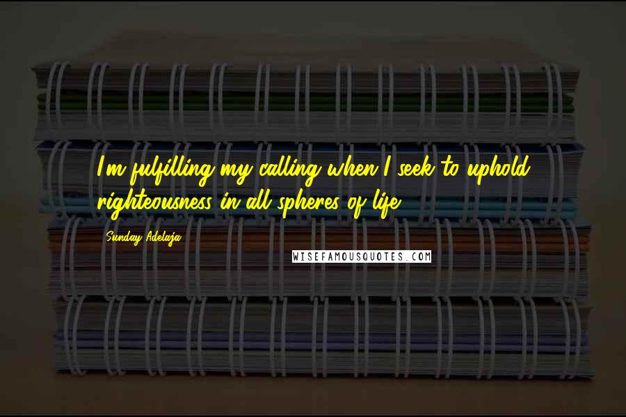 Sunday Adelaja Quotes: I'm fulfilling my calling when I seek to uphold righteousness in all spheres of life