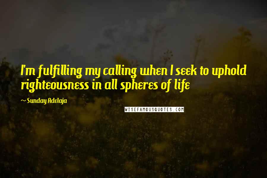 Sunday Adelaja Quotes: I'm fulfilling my calling when I seek to uphold righteousness in all spheres of life