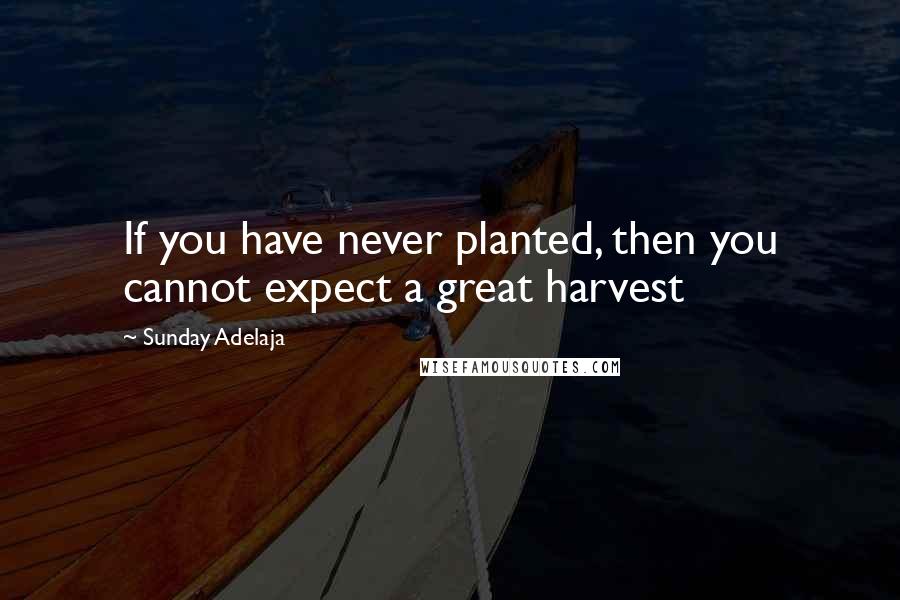 Sunday Adelaja Quotes: If you have never planted, then you cannot expect a great harvest