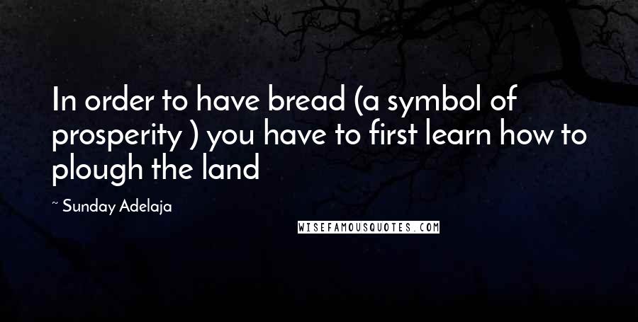 Sunday Adelaja Quotes: In order to have bread (a symbol of prosperity ) you have to first learn how to plough the land