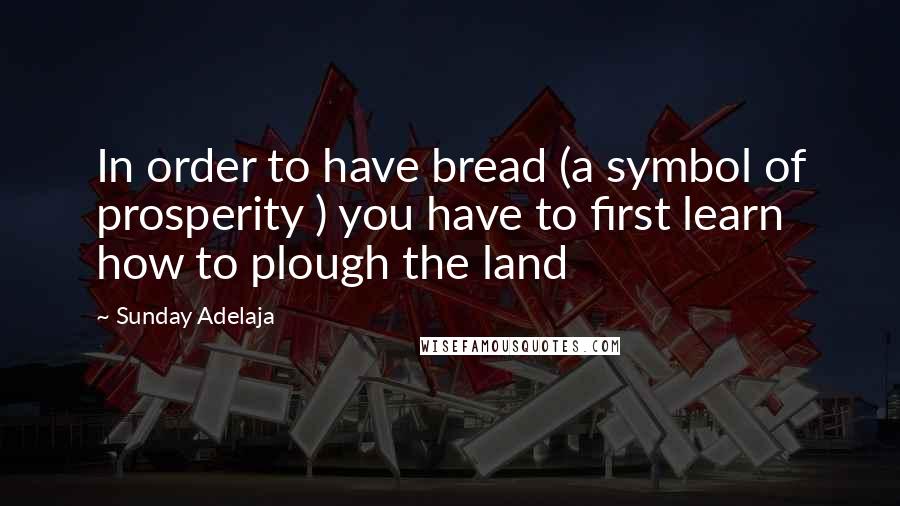 Sunday Adelaja Quotes: In order to have bread (a symbol of prosperity ) you have to first learn how to plough the land