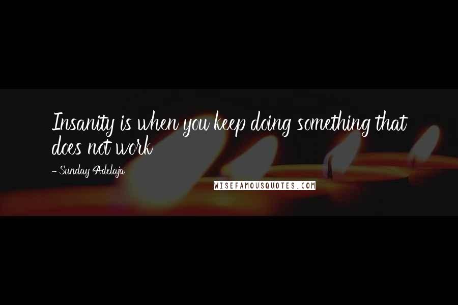 Sunday Adelaja Quotes: Insanity is when you keep doing something that does not work