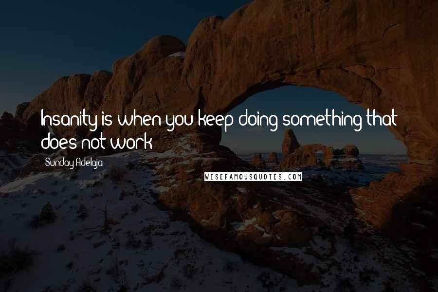 Sunday Adelaja Quotes: Insanity is when you keep doing something that does not work