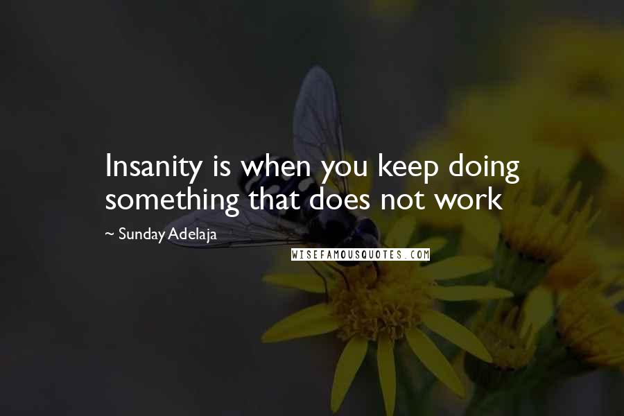 Sunday Adelaja Quotes: Insanity is when you keep doing something that does not work