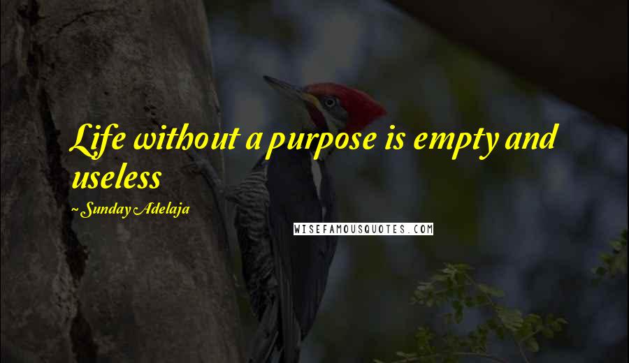 Sunday Adelaja Quotes: Life without a purpose is empty and useless