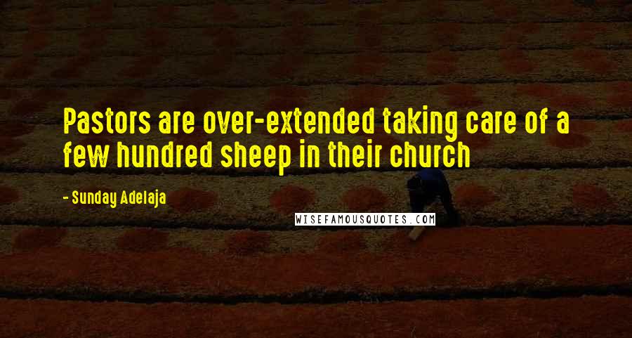 Sunday Adelaja Quotes: Pastors are over-extended taking care of a few hundred sheep in their church