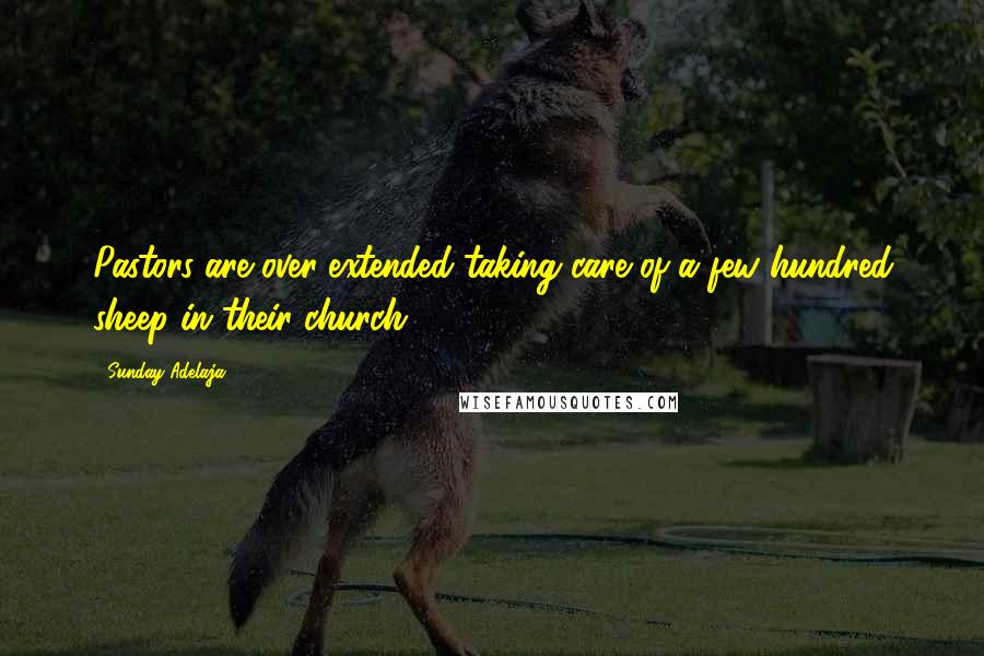 Sunday Adelaja Quotes: Pastors are over-extended taking care of a few hundred sheep in their church