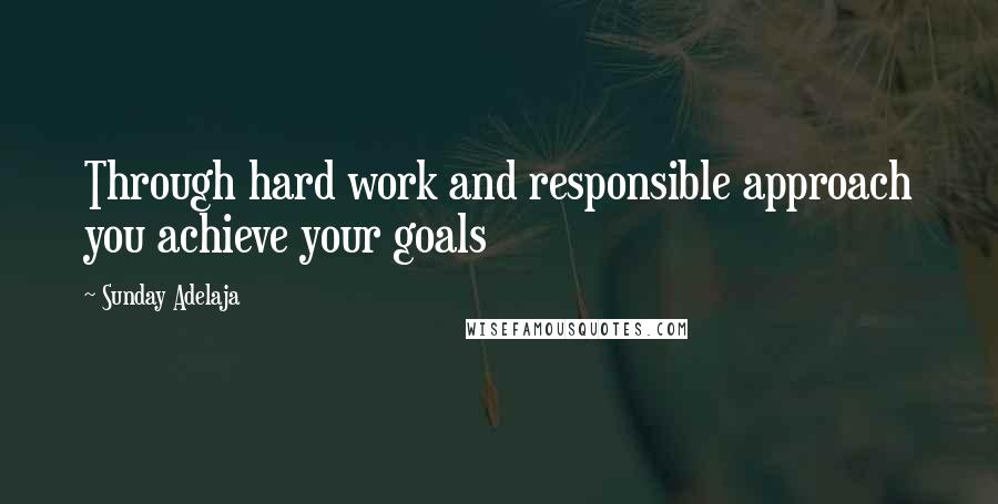 Sunday Adelaja Quotes: Through hard work and responsible approach you achieve your goals