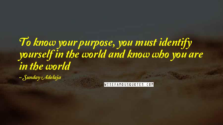 Sunday Adelaja Quotes: To know your purpose, you must identify yourself in the world and know who you are in the world