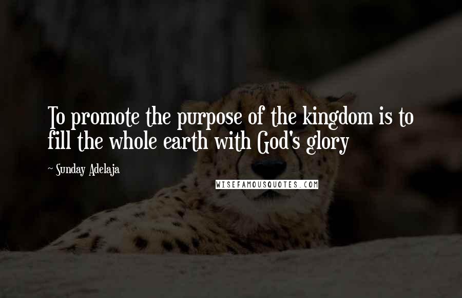 Sunday Adelaja Quotes: To promote the purpose of the kingdom is to fill the whole earth with God's glory