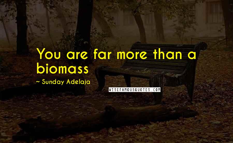 Sunday Adelaja Quotes: You are far more than a biomass