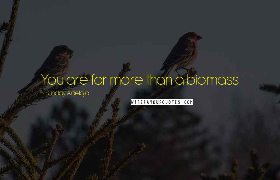 Sunday Adelaja Quotes: You are far more than a biomass