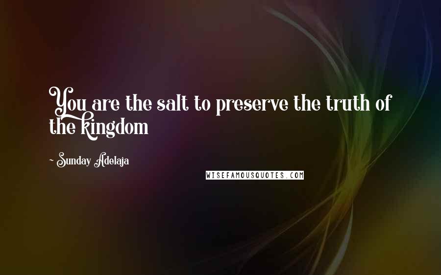 Sunday Adelaja Quotes: You are the salt to preserve the truth of the kingdom