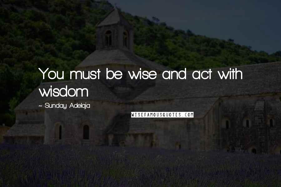 Sunday Adelaja Quotes: You must be wise and act with wisdom