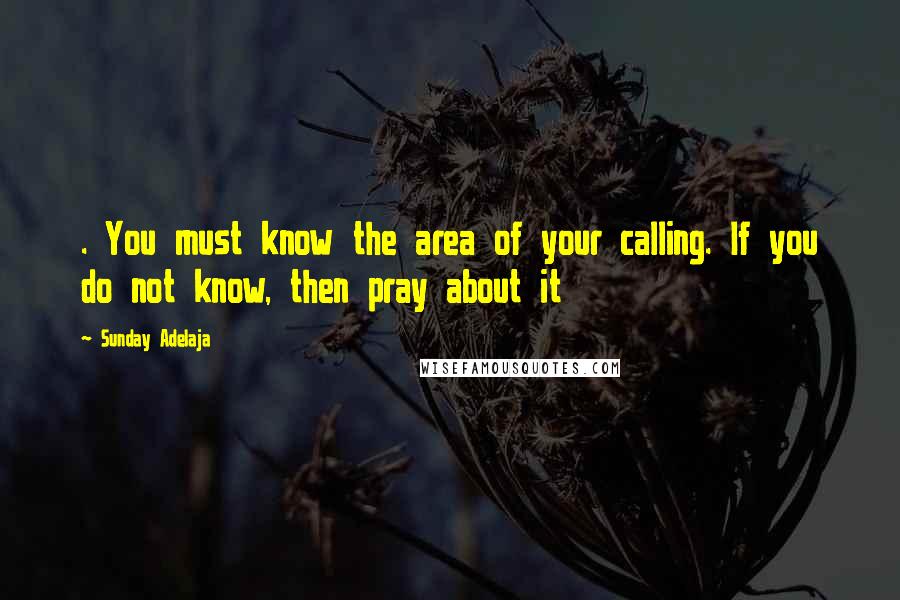 Sunday Adelaja Quotes: . You must know the area of your calling. If you do not know, then pray about it