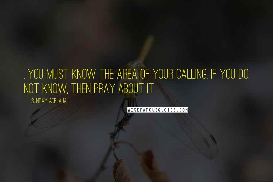 Sunday Adelaja Quotes: . You must know the area of your calling. If you do not know, then pray about it