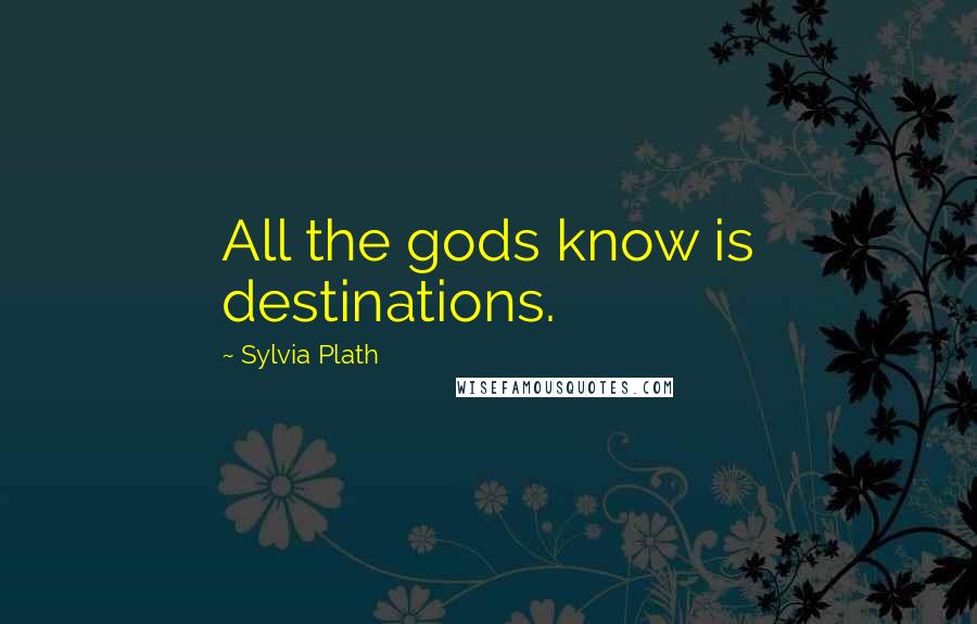 Sylvia Plath Quotes: All the gods know is destinations.