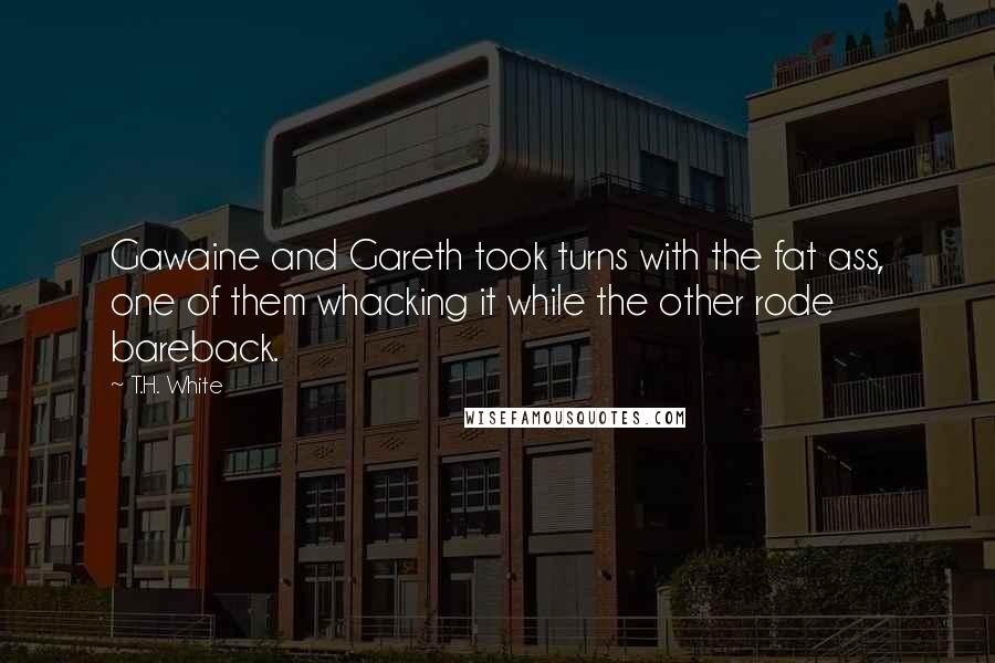 T.H. White Quotes: Gawaine and Gareth took turns with the fat ass, one of them whacking it while the other rode bareback.