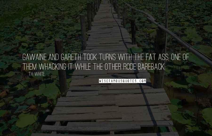 T.H. White Quotes: Gawaine and Gareth took turns with the fat ass, one of them whacking it while the other rode bareback.