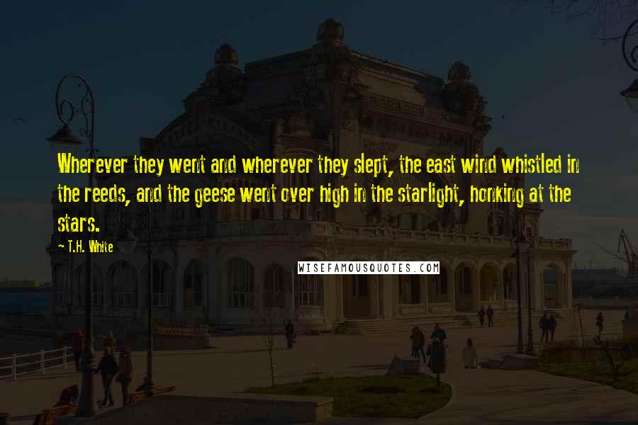 T.H. White Quotes: Wherever they went and wherever they slept, the east wind whistled in the reeds, and the geese went over high in the starlight, honking at the stars.