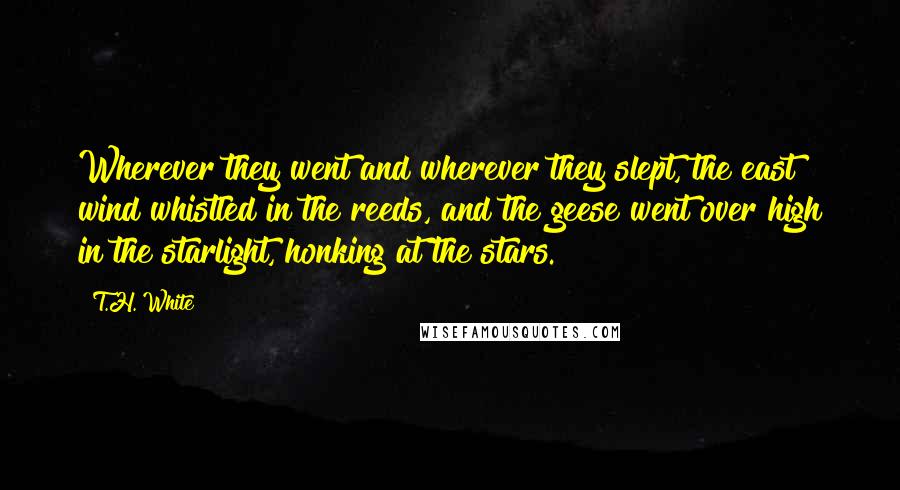 T.H. White Quotes: Wherever they went and wherever they slept, the east wind whistled in the reeds, and the geese went over high in the starlight, honking at the stars.