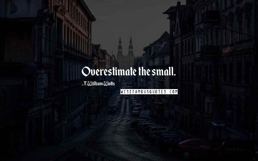 T. William Watts Quotes: Overestimate the small.